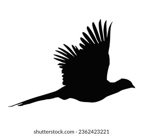 Silhouette of the bird (pheasant) in flight.