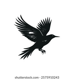 Silhouette of a Bird Posing Elegantly in the Sky