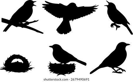 silhouette bird postures act black bird shapes monochrome color on white background