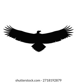Silueta de un ave rapaz, posiblemente un águila o un halcón, con las alas completamente extendidas. 