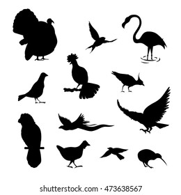 silhouette bird set