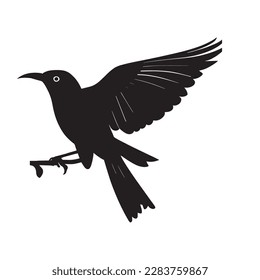 silhouette bird simple branch nature look,pj