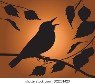 Silhouette Of The Bird Singing Among The Foliage