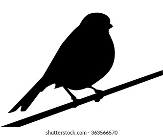 silhouette of bird, a sparrow is on a branch, shape of bird