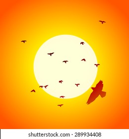 Silhouette of the bird at sunset. Vector