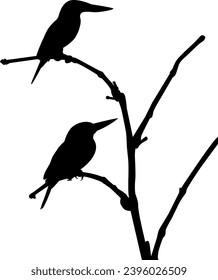 silhouette of a bird vector