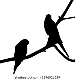 silhouette of a bird vector