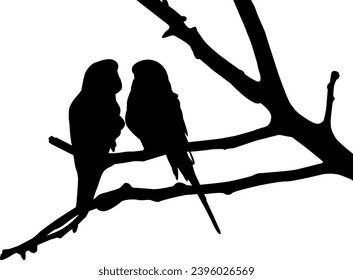 silhouette of a bird vector