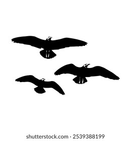 silhouette bird vector illustration eps.10