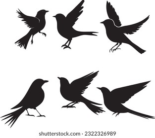 silhouette bird vector illustration set with white background