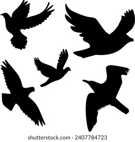 Silhouette Bird with Vector Style