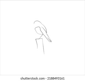 silhouette of a bird in the wood