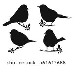 silhouette of birds