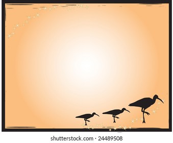 Silhouette of birds