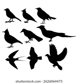 silhouette birds , silhouette of birds