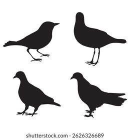 silhouette birds , silhouette of birds