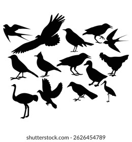 silhouette birds , silhouette of birds