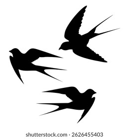 silhouette birds , silhouette of birds