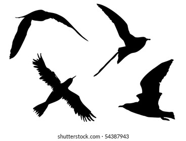 Silhouette Birds Stock Vector (Royalty Free) 54387943 | Shutterstock