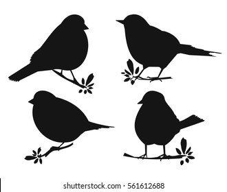 silhouette of birds