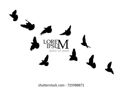 Silhouette of birds background. Vector
