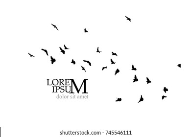 Silhouette of birds background. Vector