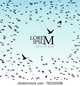 Silhouette of birds background. Vector