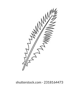 Silhouette of a bird's feather on a white background. Vector image.