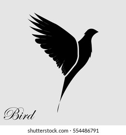Silhouette birds in flight