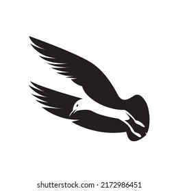 silhouette of birds flying in the clouds. black and white. birds looking for prey.