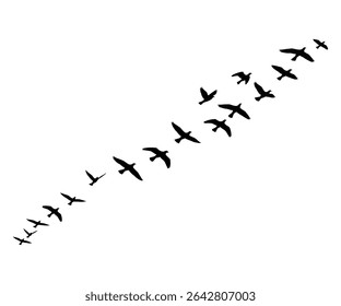 "Silhouette of Birds Flying in Formation – Minimalist Black Bird Flock on White Background for Nature and Wildlife Designs"