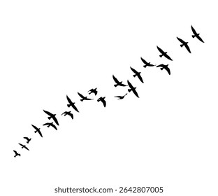 "Silhouette of Birds Flying in Formation – Minimalist Black Bird Flock on White Background for Nature and Wildlife Designs"