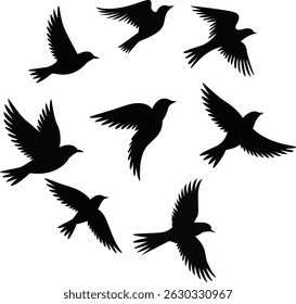 Silhouette birds flying freedom in the sky