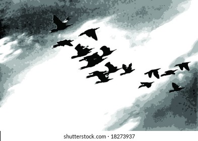 Silhouette of birds flying in the  sky