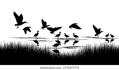 silhouette of birds flying and standing over a body of water