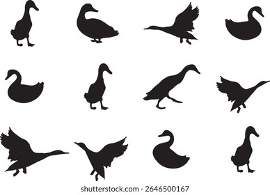 Silhouette of Birds Illustration Arts.