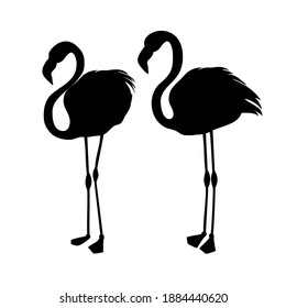 Silhouette of birds isolated on white. Set of vector design element.
