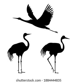 Silhouette of birds isolated on white. Set of vector design element.