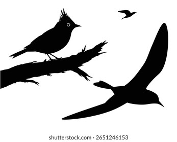 silhouette of birds on a branch and flying