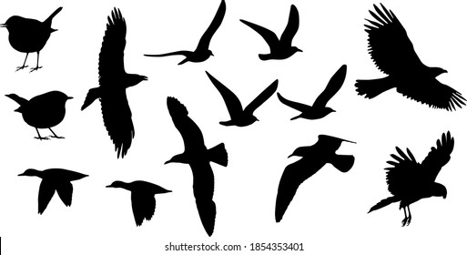 silhouette of birds on flight, vector on white background