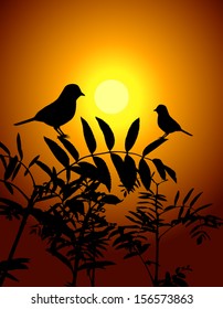 silhouette of birds on a tree at sunset
