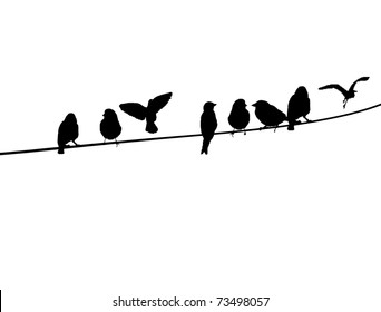 A silhouette of birds on a  wire, vector illustration