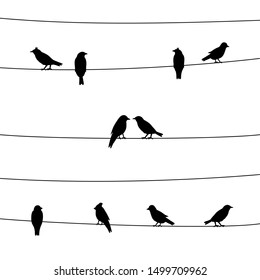 A silhouette of birds on wires. Valentine’s day concept.