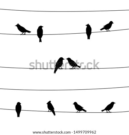 A silhouette of birds on wires. Valentine’s day concept.