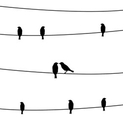 Silhouette Of Birds On The Wires For Decoration.