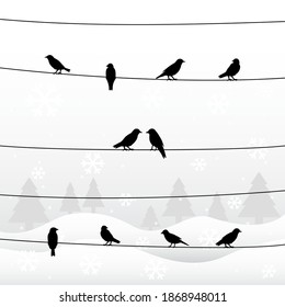 Silhouette of birds on wires in winter background. Vector illustration.