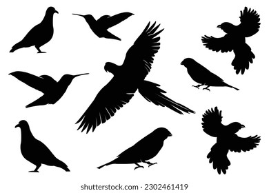 Paloma silhouette Birds, ave paloma, pájaro loro, colibrí, colibrí, etc.
Colección de vectores