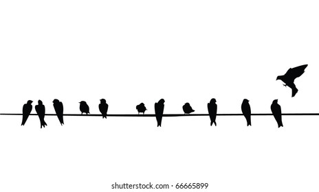 A silhouette of birds (Purple Martins) on a telephone wire.