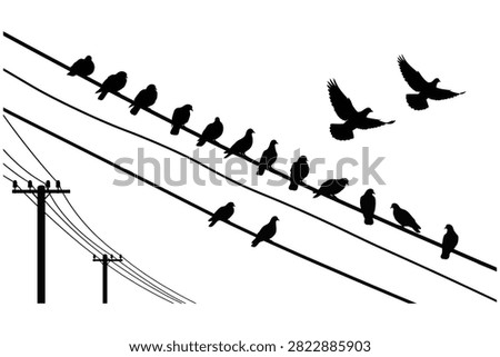 Silhouette birds sitting on power lines and two birds flying nearby