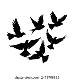  Silhouette of Birds in Various Stages of Flight